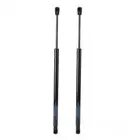 R  L Регулировка 1 пара передних опорных стержней капота, амортизационная опорная штанга, 1998-2002 74145-s87-a01