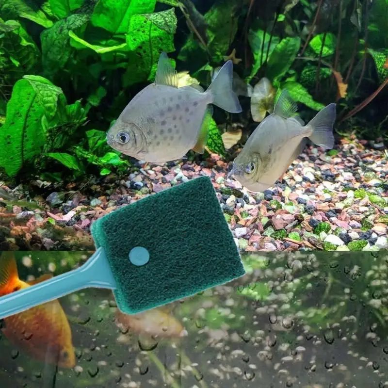 Аквариумная стеклянная скребок для аквариума с длинной ручкой|Инструменты