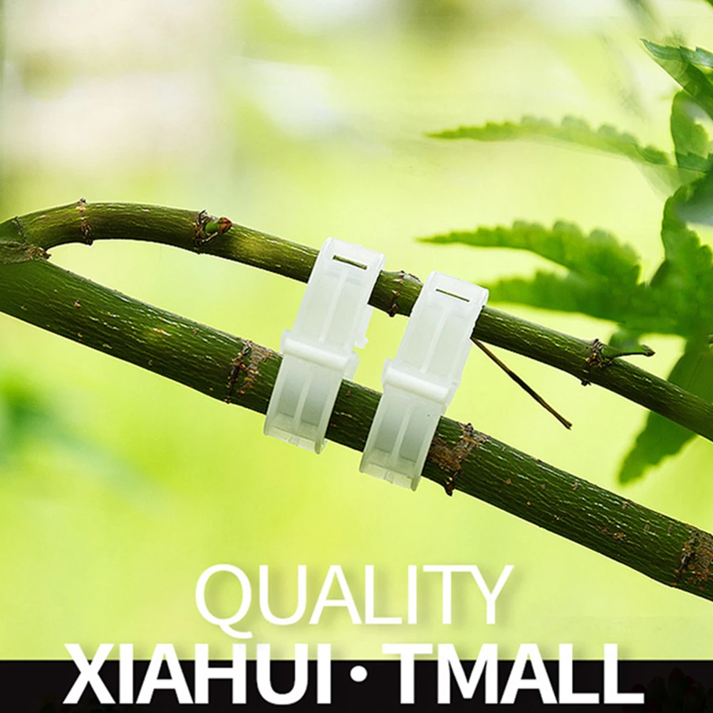 10 шт. зажимы завод держателя помидор висит решетки лоза разъемы оранжерейные