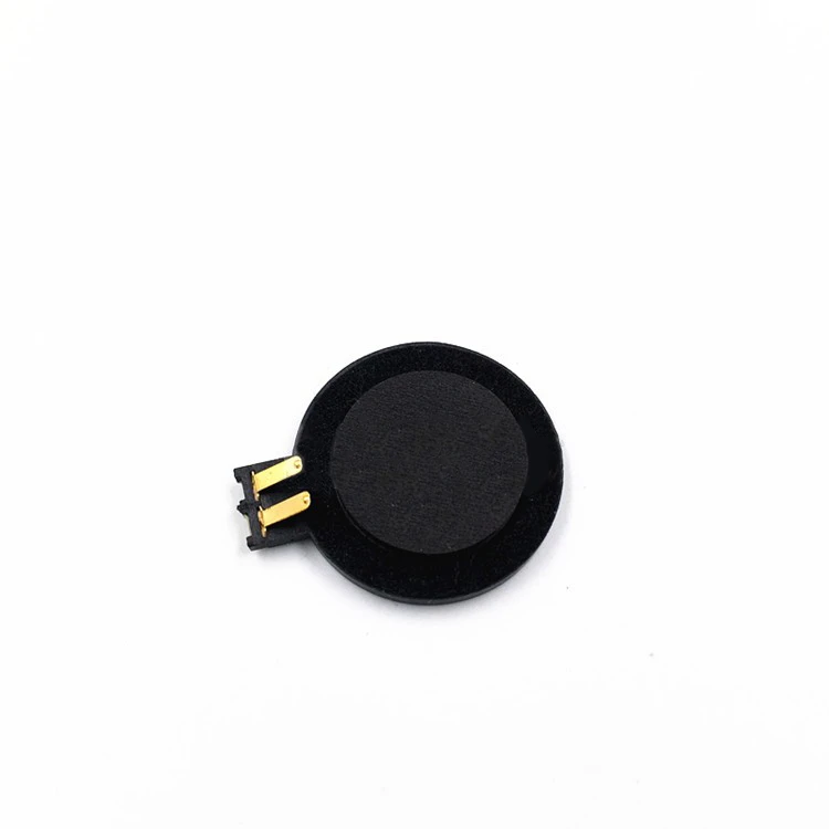 

Replacement Built-in Speaker Original Internal Audio Stereo Speaker for GBA SP Game Comsole Repair Part