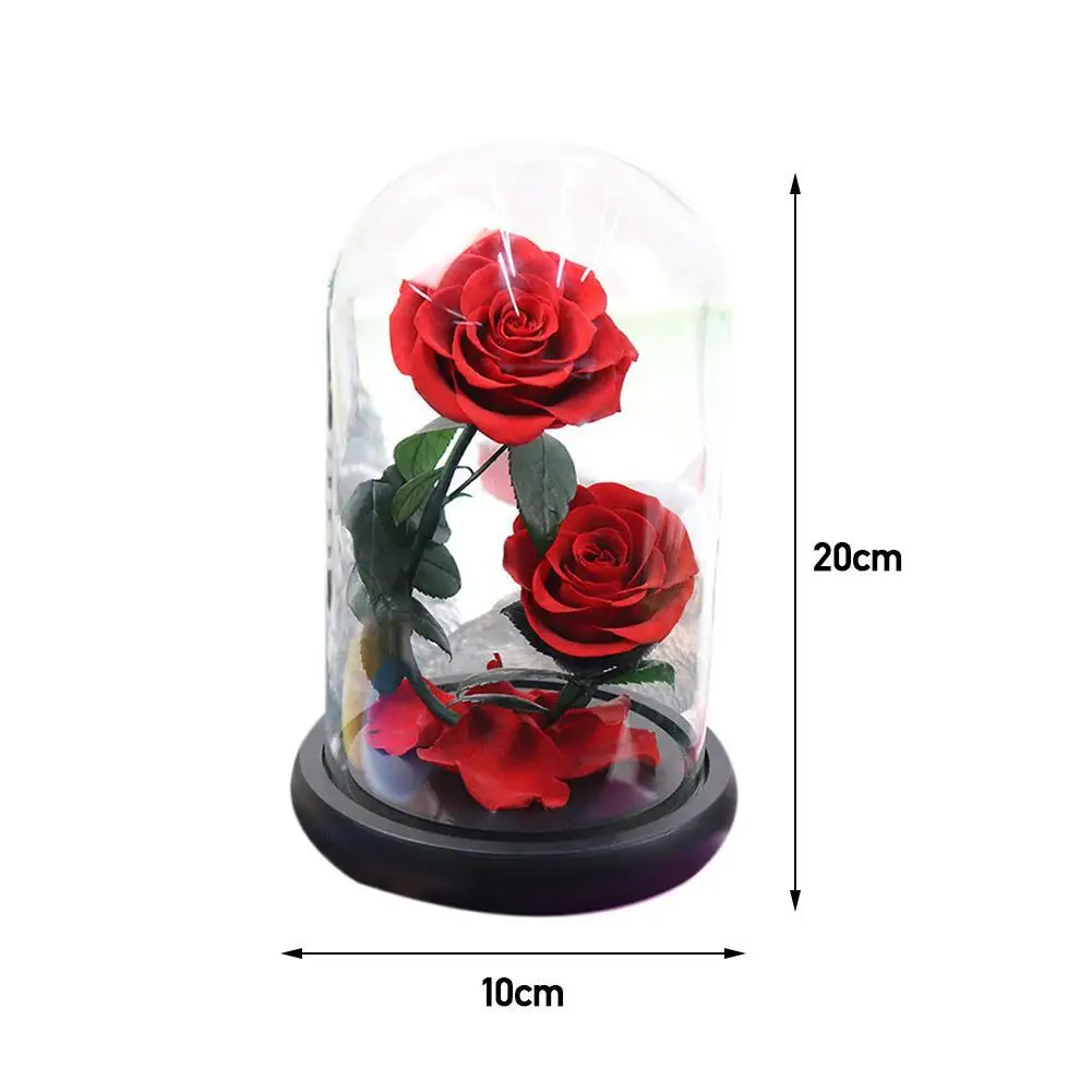 

Eternal Preserved Rose In Glass Dome 3 Flower Heads Rose Forever Love Wedding Favor Valentine Christmas Gifts for Women