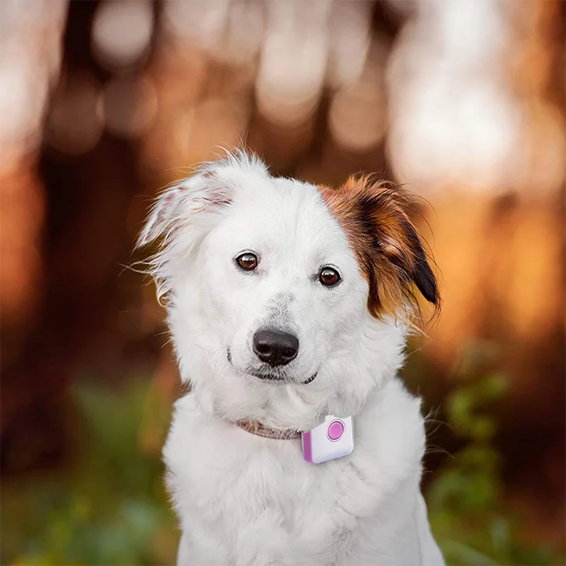 

Waterproof 4G mini small tracking device GPS pet tracker for animal location