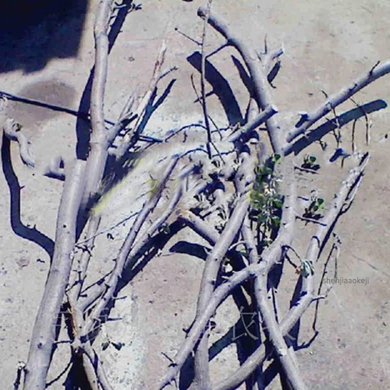 5000 об/мин вращающаяся Скорость Профессиональный Газовый измельчитель древесины