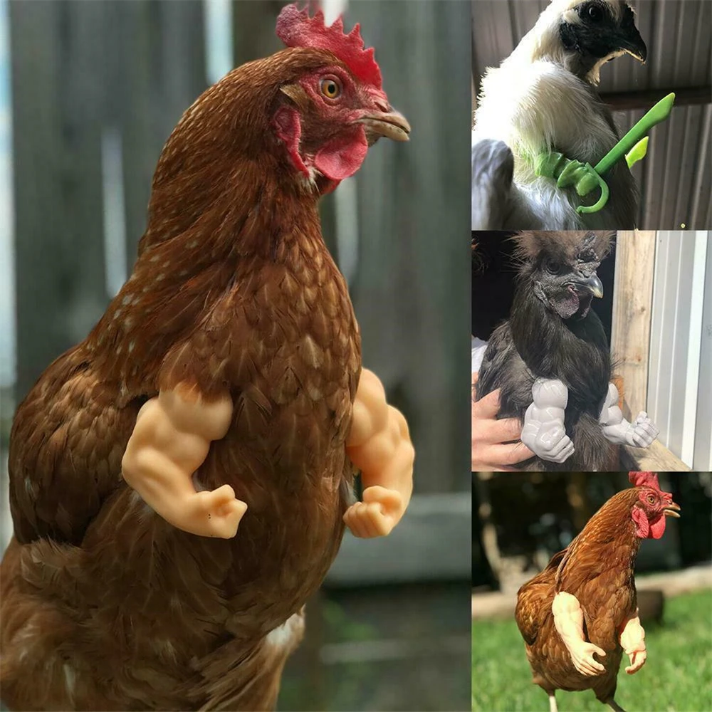 

1Pair Muscle Chicken Arms Gag Gift Chicken Arms For Chicken To wear Muscle Arms Decor Themed Party For Farm Animal Supplies