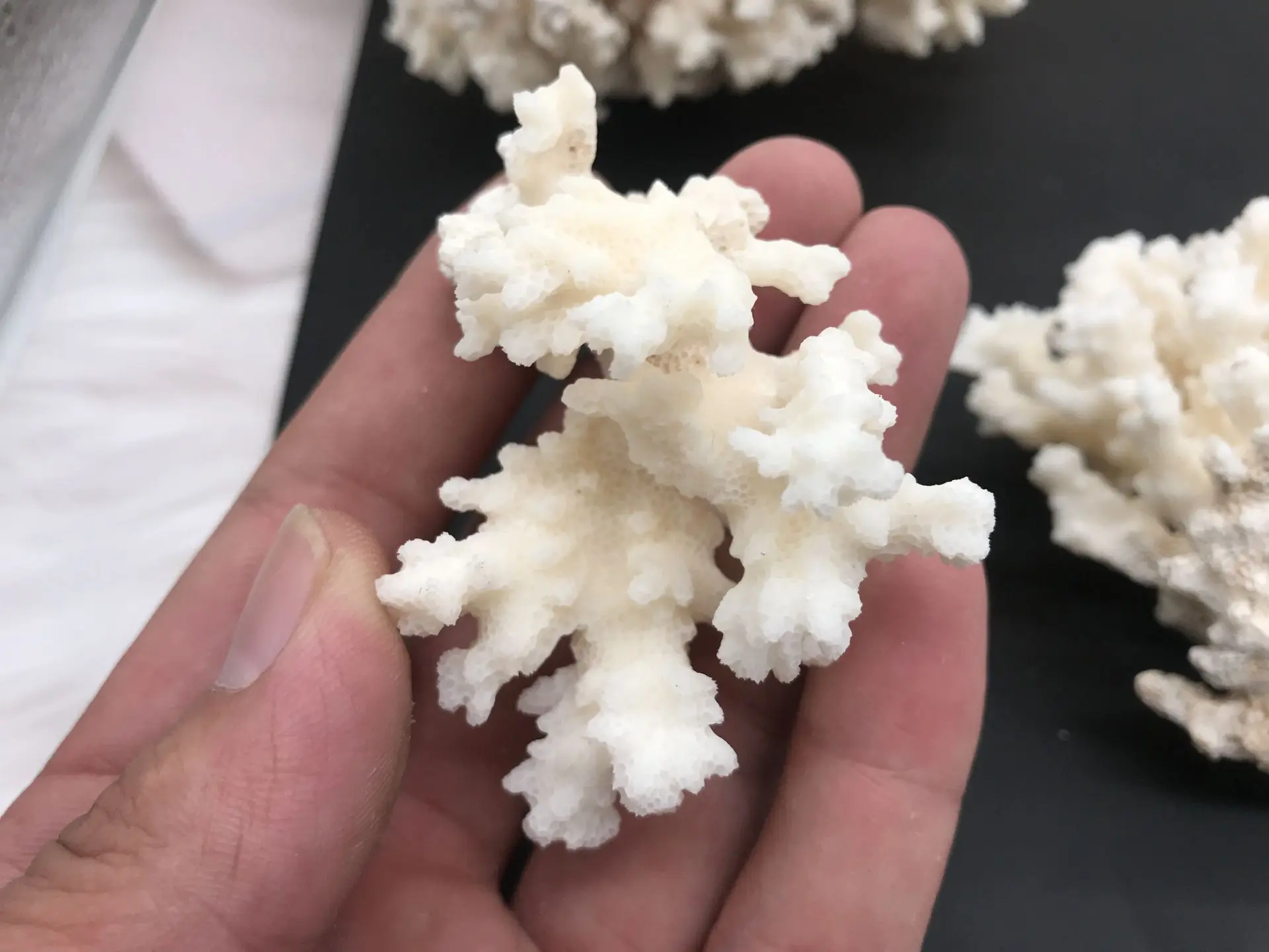 

1pcs 100% Natural Coral Aquarium Decor Fish Tank Decoration Aquarium Landscaping Ornaments Home Decoration