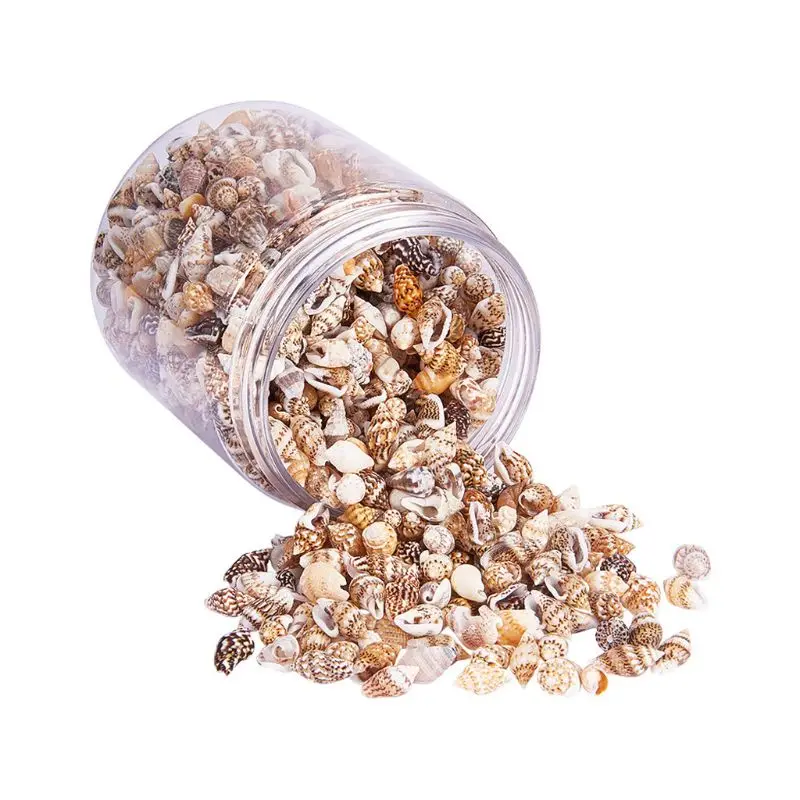 

Over 1300 Pcs Mini Natural Beige ShellConch Beads Seaside Candle Jewelry Making