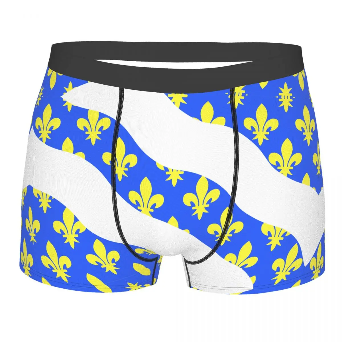

Drapeau Fr Département Yvelines Men's Boxer Briefs Flags of the regions of France Funny Novelty elastic pants for men