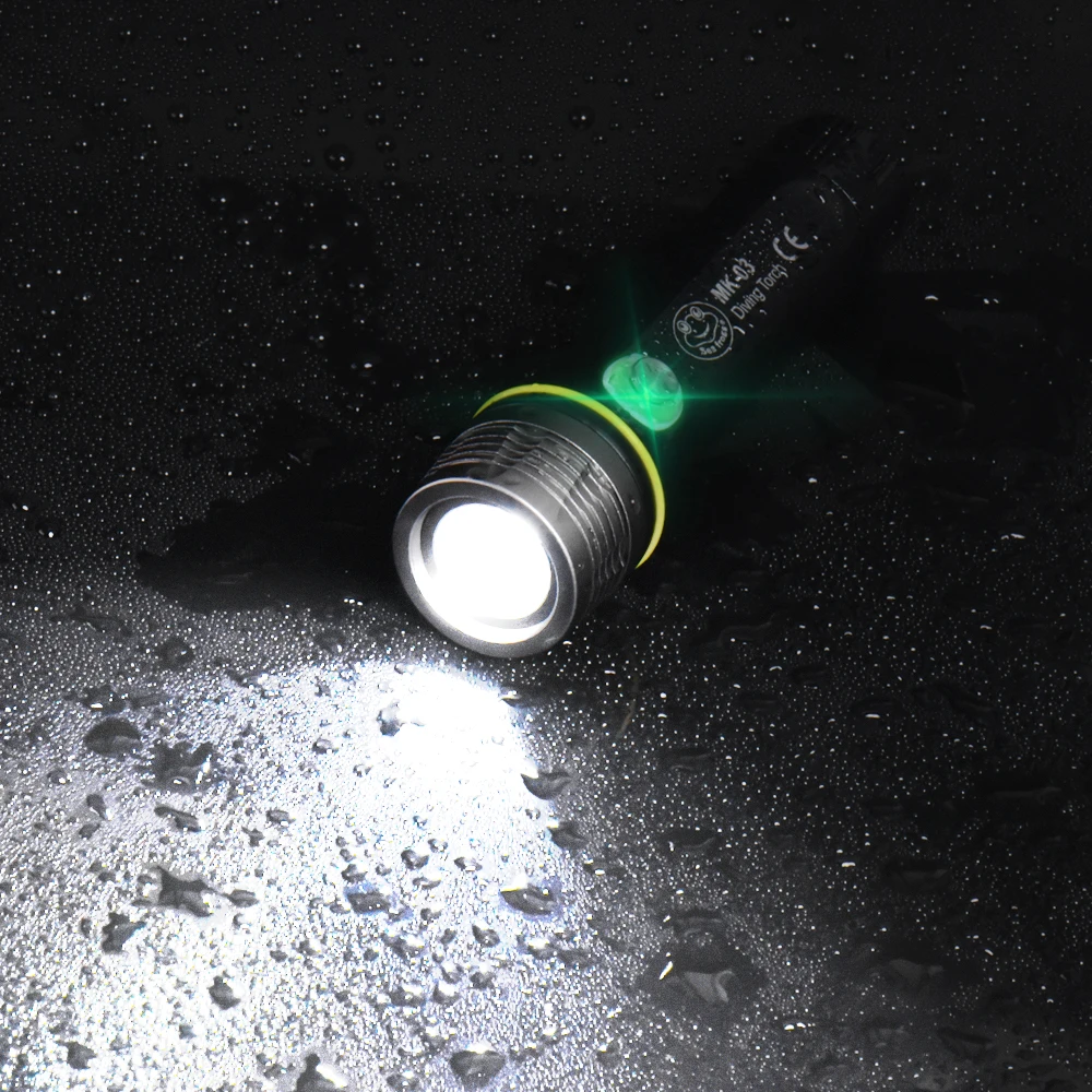 1000lums Профессиональный Дайвинг фонарик Портативный подводное погружение фонарь