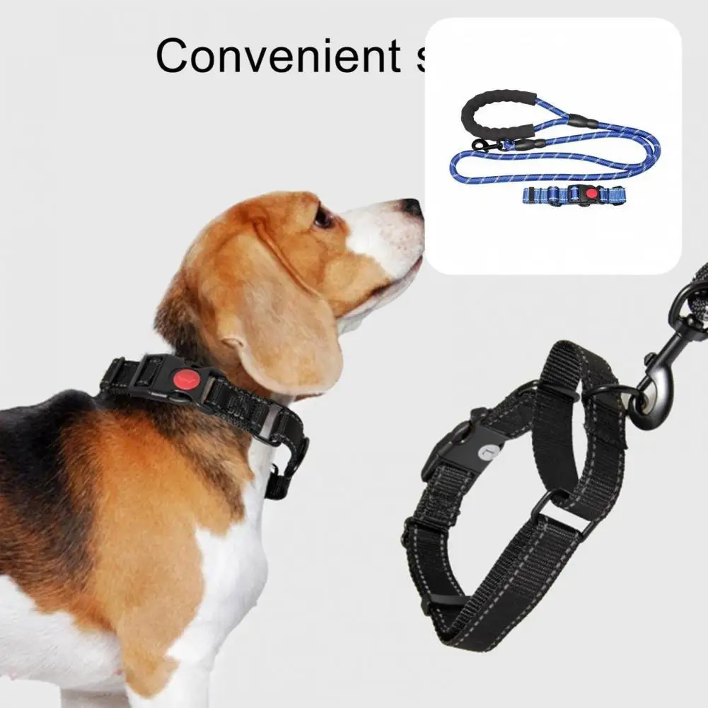 

Wear-resistant 2Pcs/Set Durable Dog Harness Rope Collar Set Safe Dog Leash Portable for Walking