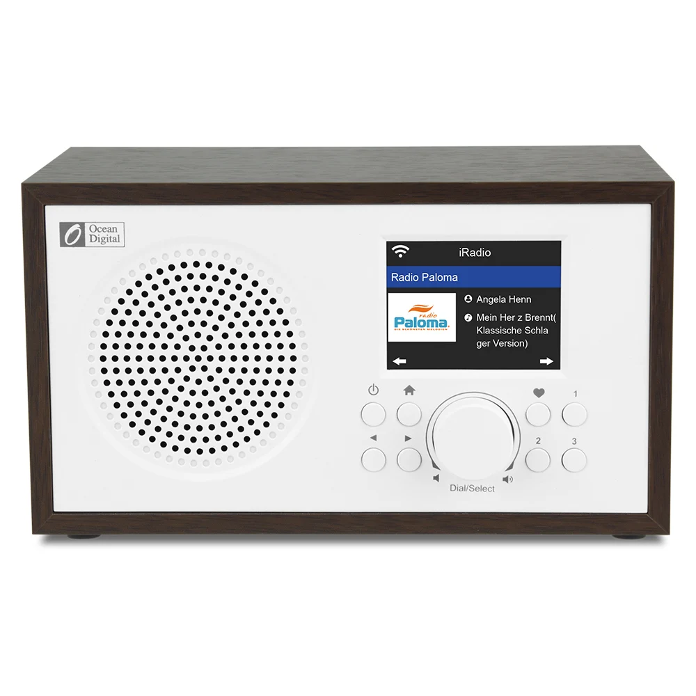 

Wi-Fi internet radios WR-100F FM Digital Radio with Bluetooth Speaker & Sleep Radio, Aux in, 26000+ Stations, 2.4" Color Display