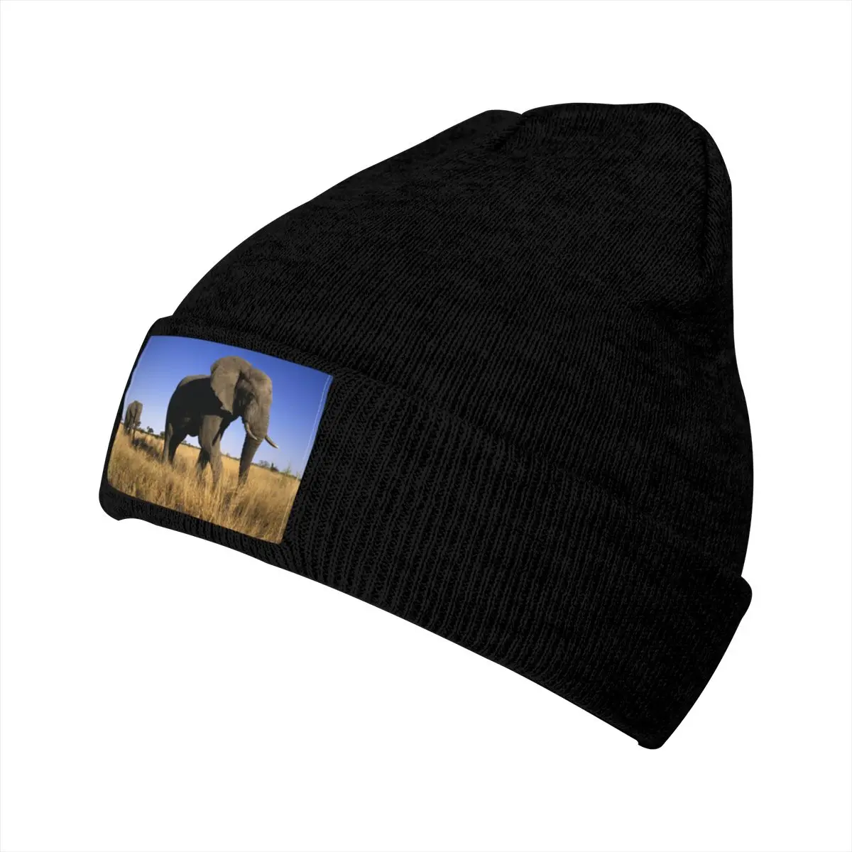 

Elephant winter Men's clothing Ms hat personality caps outdoor caps