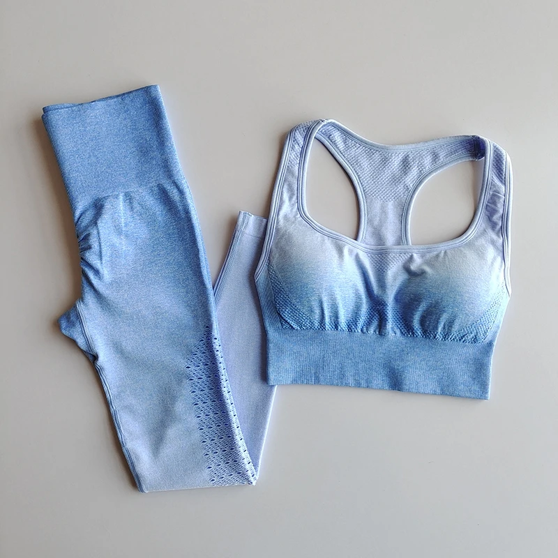 2 Piece Sport Outfit  Women Gym Yoga Set Fitness Clothing  Seamless Sport Leggings Sports Bra Running Sport Wear