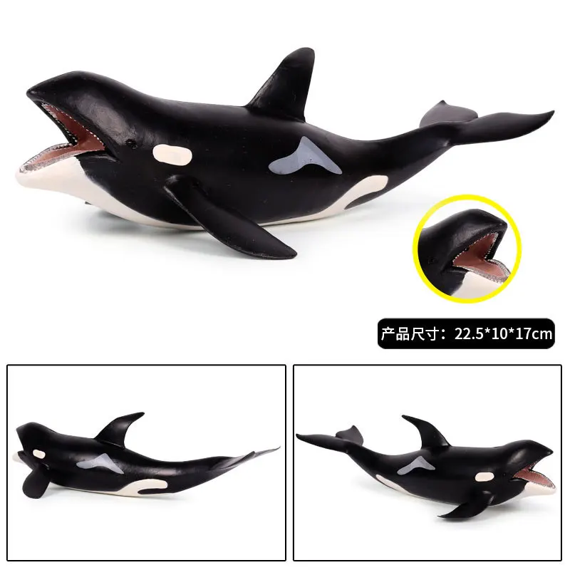 

22.5*10*17cm Children cognition simulation killer whale model toy marine life animal model science education toy