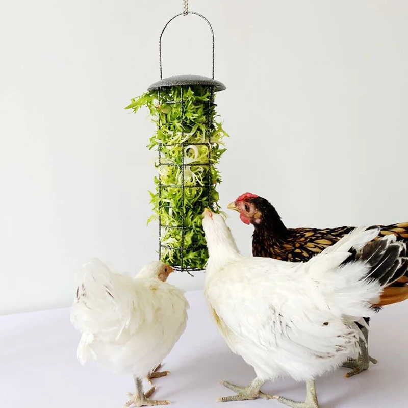 

Chicken Feeder Basket Vegetable Fruit Veggie Hanging Coop Pigeon Chick Rooster Hen Fun Foraging Metal Treat Box Feeding 97QD