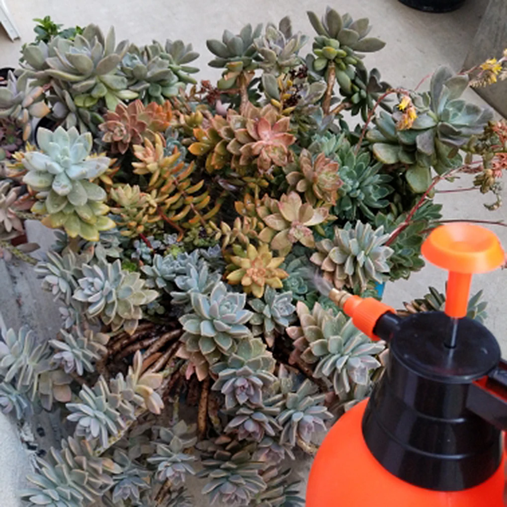 Насос компрессионный садовый 2 л/3 л|Канистры для воды| |