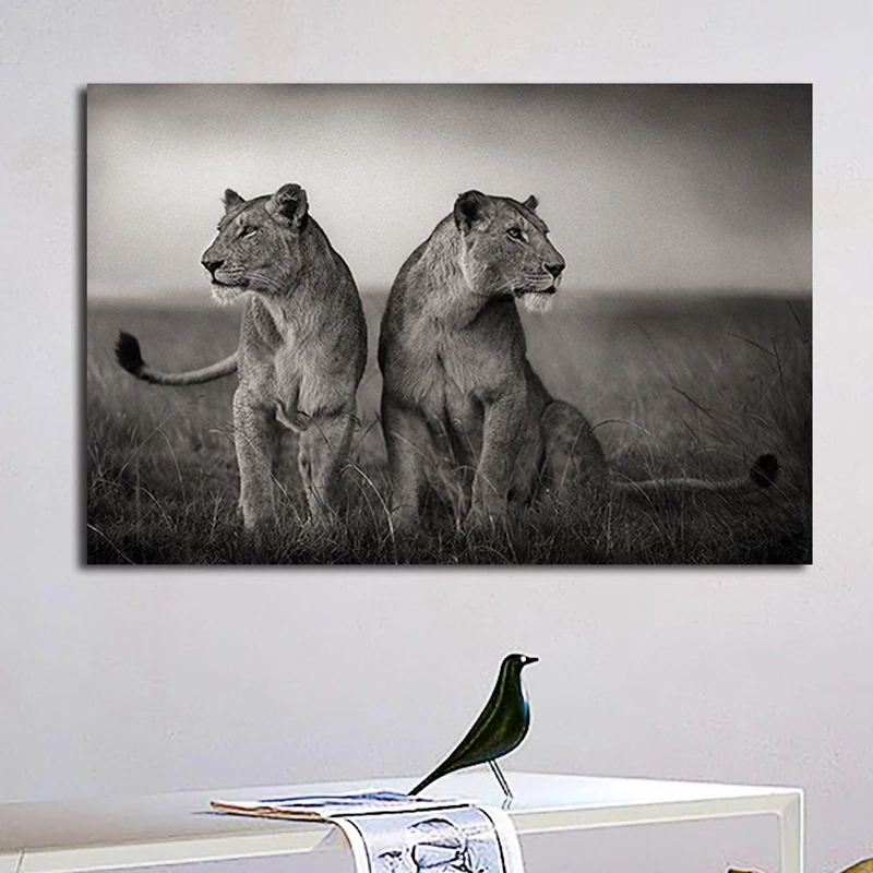 Плакат с африканскими двумя львами рисунок на холсте изображением дикой свободы