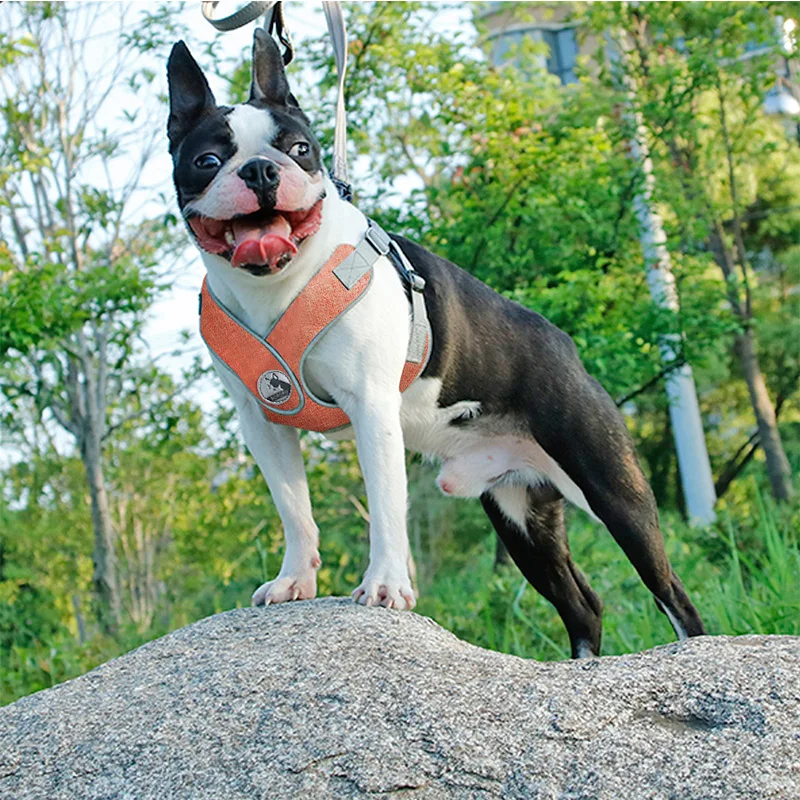 Не тянущаяся Спортивная шлейка для собак светоотражающая безопасная X типа