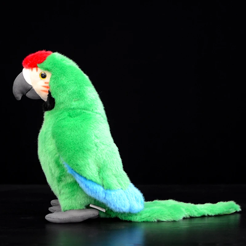 Мягкая плюшевая игрушка Macaws Ara зеленый Макао попугай пситтаковые модель птицы
