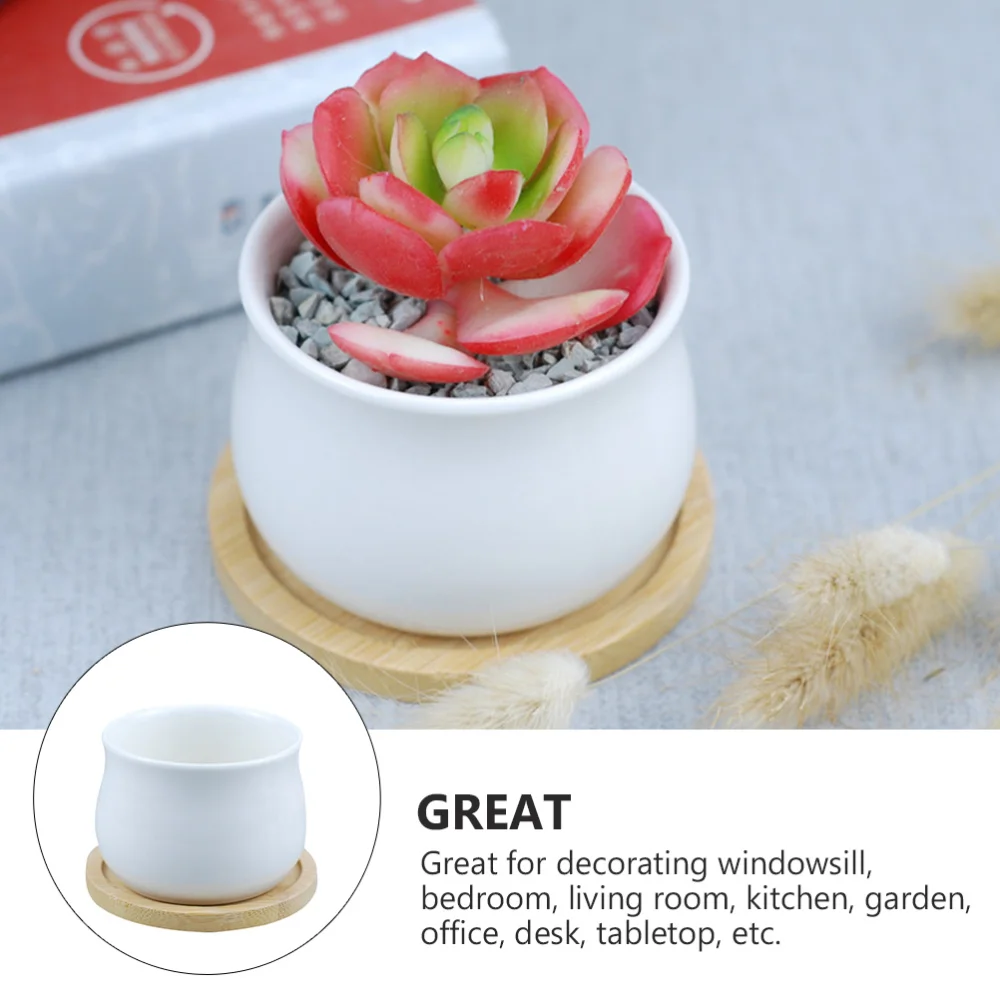 

4 Sets Practical Garden Pots Premium Succulent Pots Fashionable Plant Pots