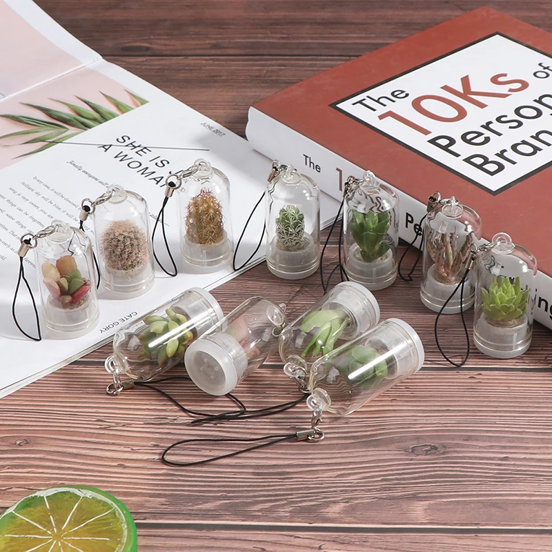 Кактус миниатюрный кактус Террариум носимый ожерелье DIY суккулент подвеска