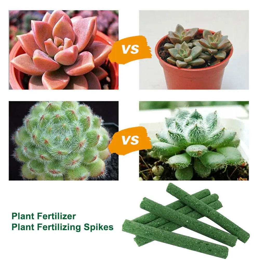 Indoor Plant Fertilizer Fertilizing Spikes for Give Continuous Feeding to all Flowering and Foliage Houseplants | Дом и сад