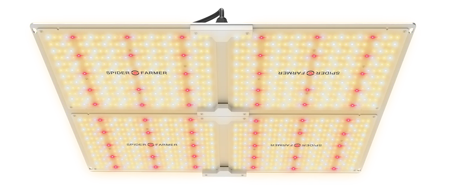 Растущие лампы Led Grow Light 4000 Вт паук фермер Квантовая доска полный спектр для выращивания растений samsung LM301B Meanwell