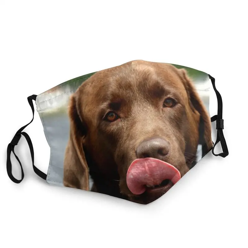 

Reusable Labrador Retriever Chocolate Mask for Face Adult Unisex Dog Mask Men Women Anti Haze Protection Cover Respirator Muffle