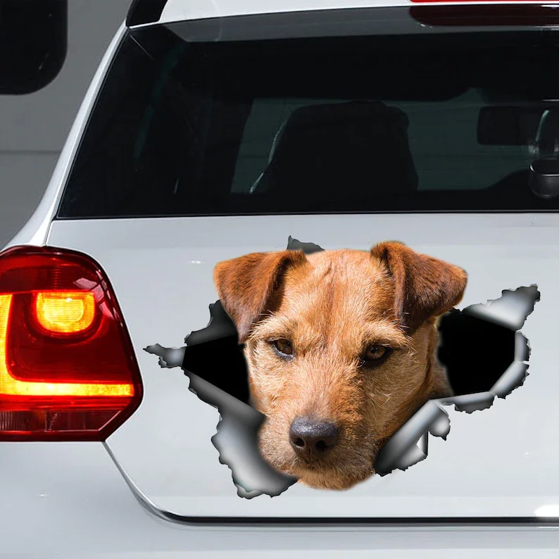 

Patterdale terrier car decal, Patterdale terrier magnet,Patterdale terrier sticker