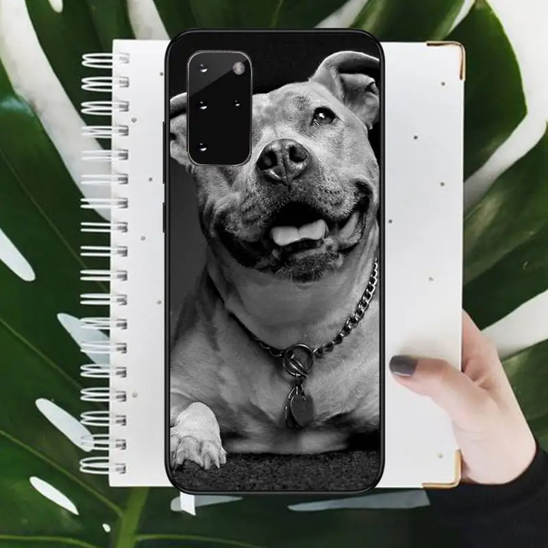 

Pit Bull Lovely Dog Pitbull Phone Case For Samsung galaxy S 9 10 20 A 10 21 30 31 40 50 51 71 s note 20 j 4 2018 plus