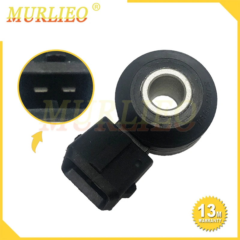 

Датчик K nock для BMW, Cadillac, Seville, Chevrolet, Astro Express 1500, 2500, GMC, Savana, Mercedes-benz, Oldsmobile, 21024981, 12570176