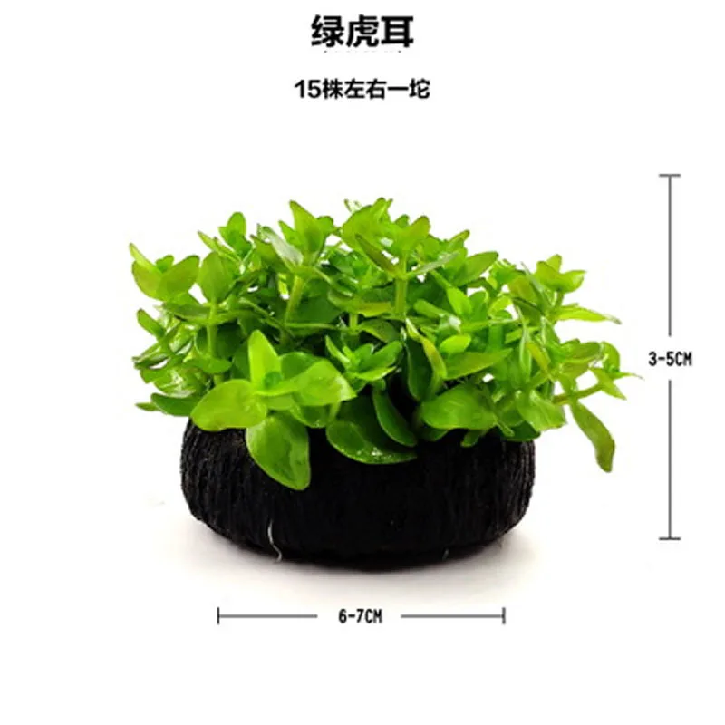 Aquarium aquatic plants living freshwater grass scenery one 1piece per 4 items