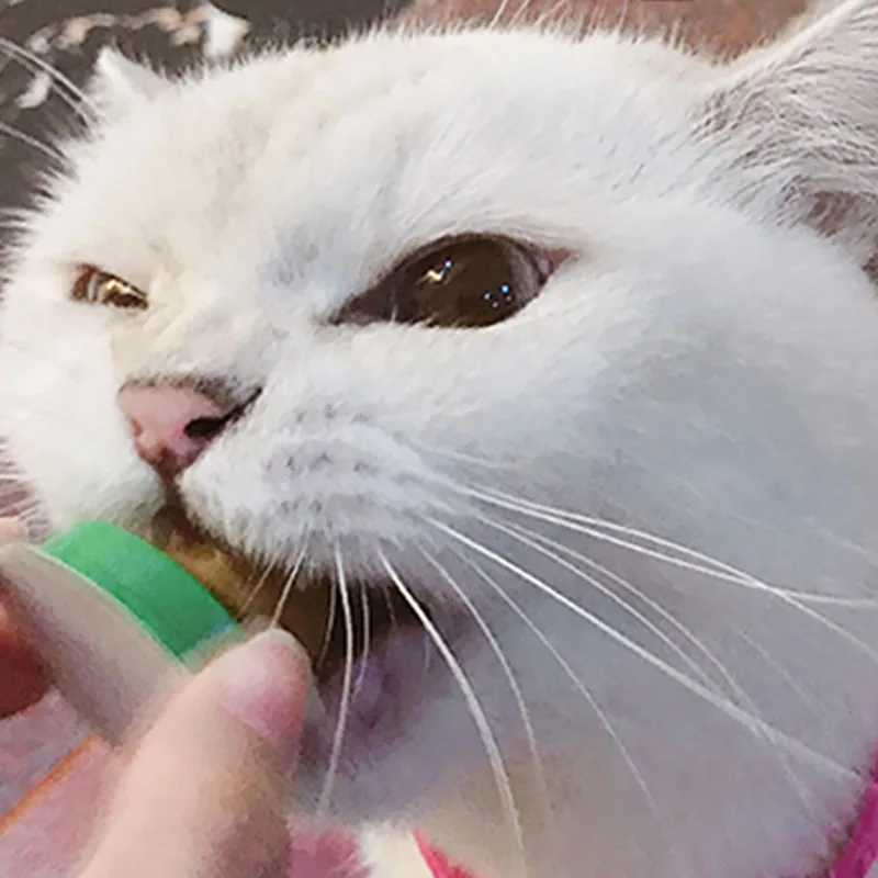 Здоровый твердый котенок закуска Еда кошка конфеты витамин пудинг мята леденец