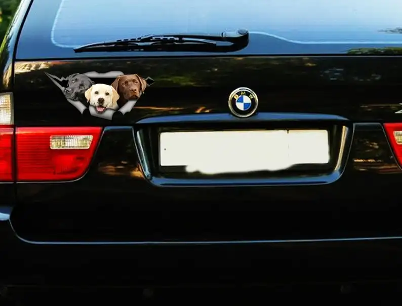 

2021 Lab sticker, Golden lab, Chocolate lab, Black lab, Labrador car decal, dog car decal, car decoration, pet decal