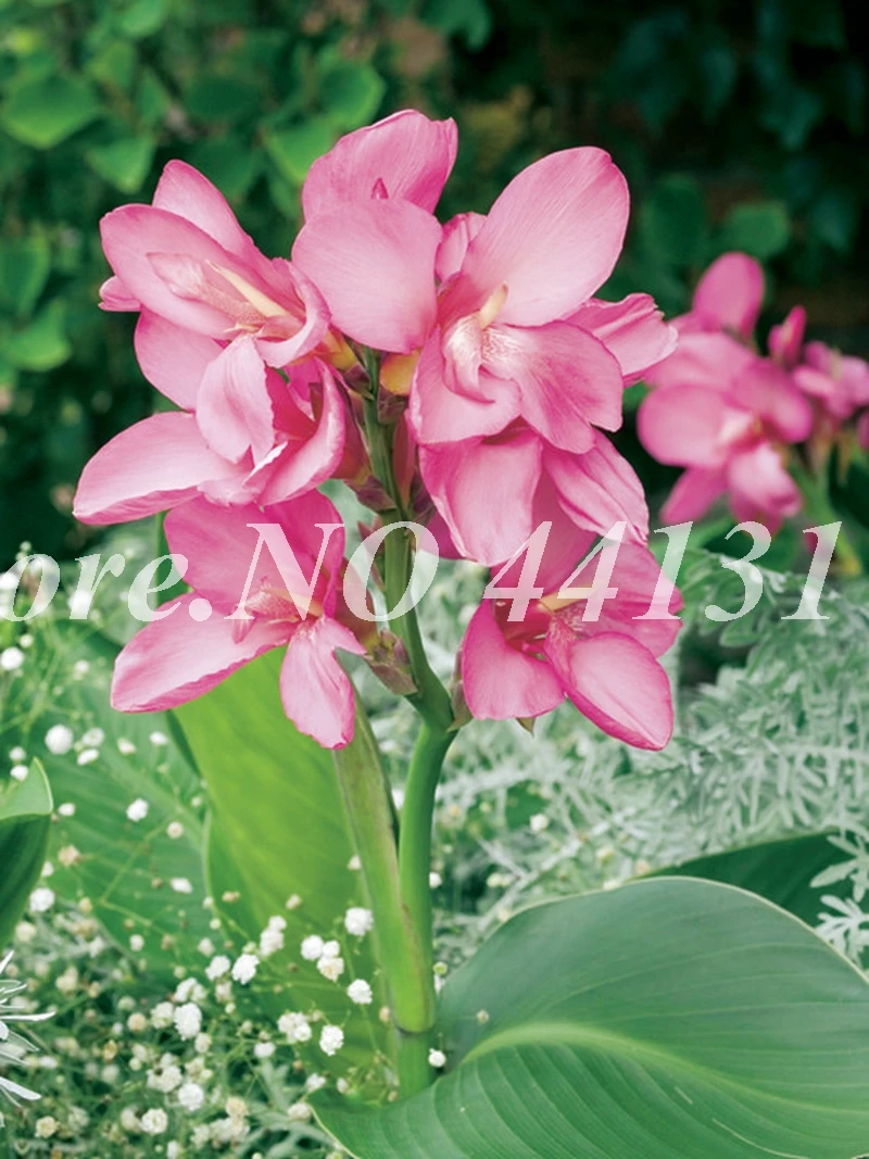 100 искусственный Декор Canna Lily | Дом и сад