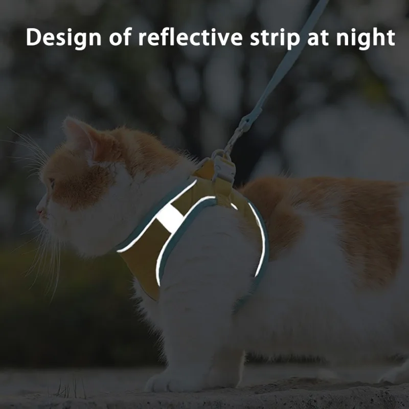 _ Наружный поводок безопасности для тренировки домашних животных со