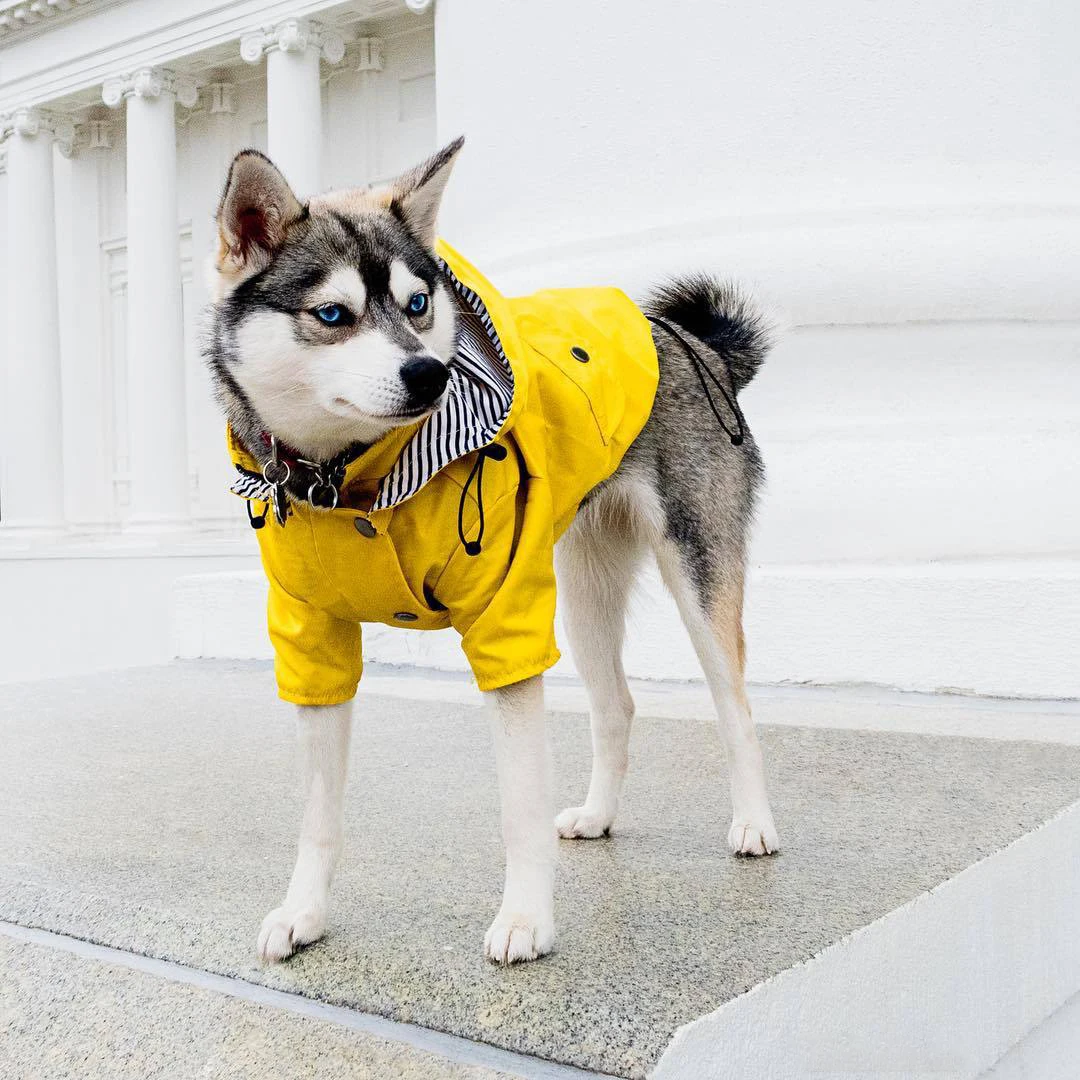 Pet Dog Raincoat Windproof and Rainproof Yellow Puppy Hoodies Jacket Multi-size Suitable for Large Medium Small Clothes |