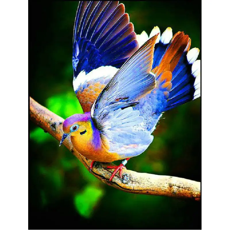 

Diy 5d алмазная живопись, вышивка крестиком, полная фотокартина и свинья Стразы, ручная работа, Настенный декор, художественная картина