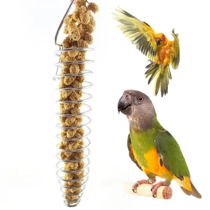 

Parrot Feeder Stainless Steel Bird Food Fruits Basket Holder Foraging Equipment Bird Cage Feeding Device Birds Training Toy