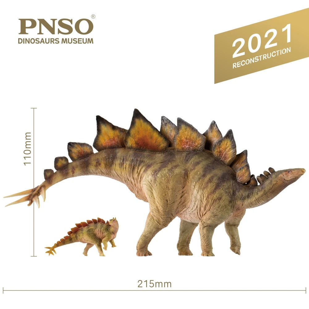 PNSO-Serie de museo de dinosaurios: Stegosaurus Biber & Rook 1:35, modelos de arte cient&iacute;fico-0