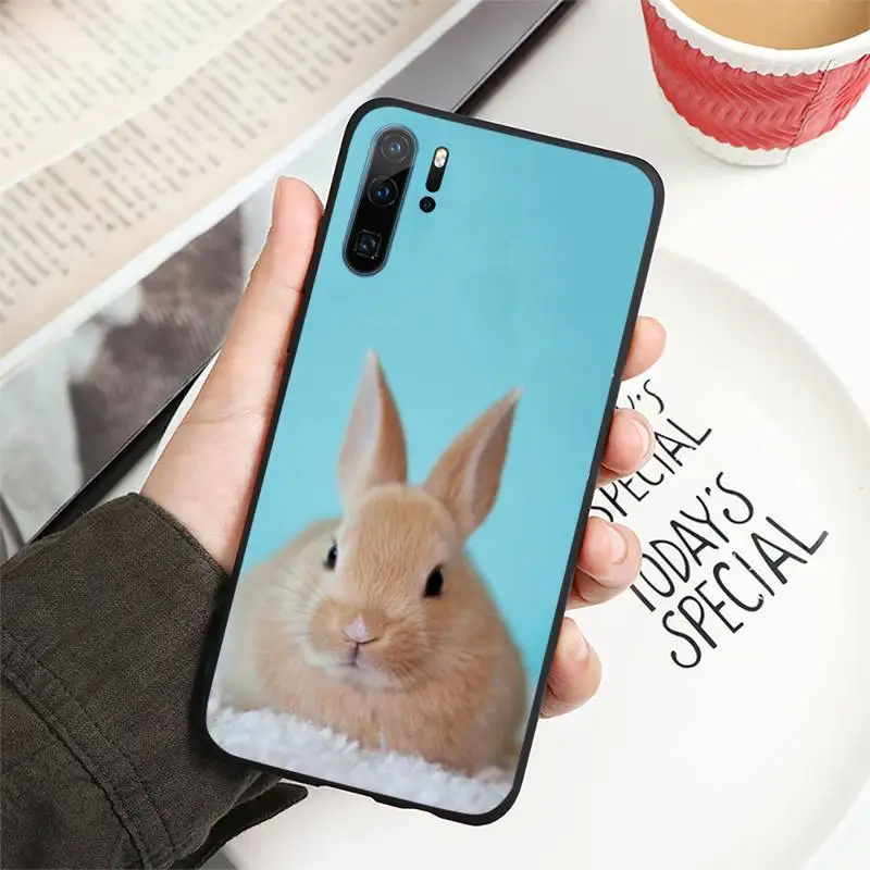 

Cute animal rabbit Phone Case For Huawei honor Mate P 10 20 30 40 i 9 8 pro x Lite smart 2019 nova 5t