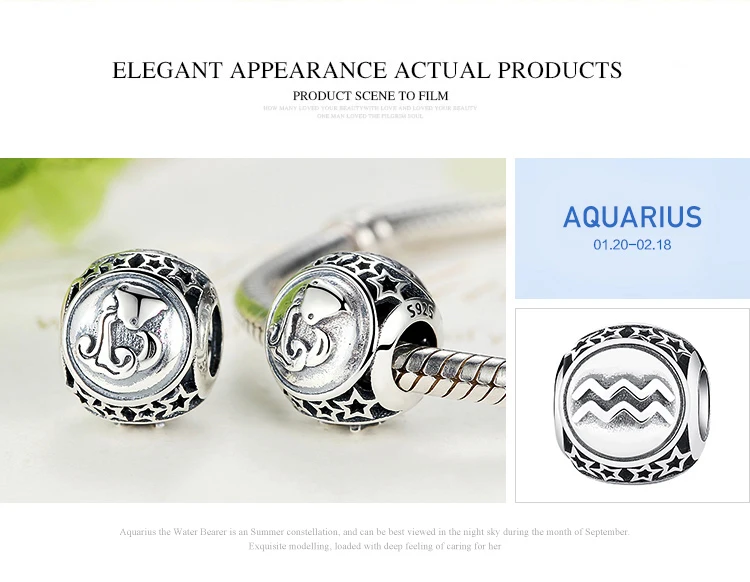 Aquarius BISAER, винтажный 925 пробы, серебряный, Водолей, Знак Звезды, Зодиак, бусины, подходят для шармов, браслеты, сделай сам, 12 созвездий EDC048 - Цвет: Aquarius