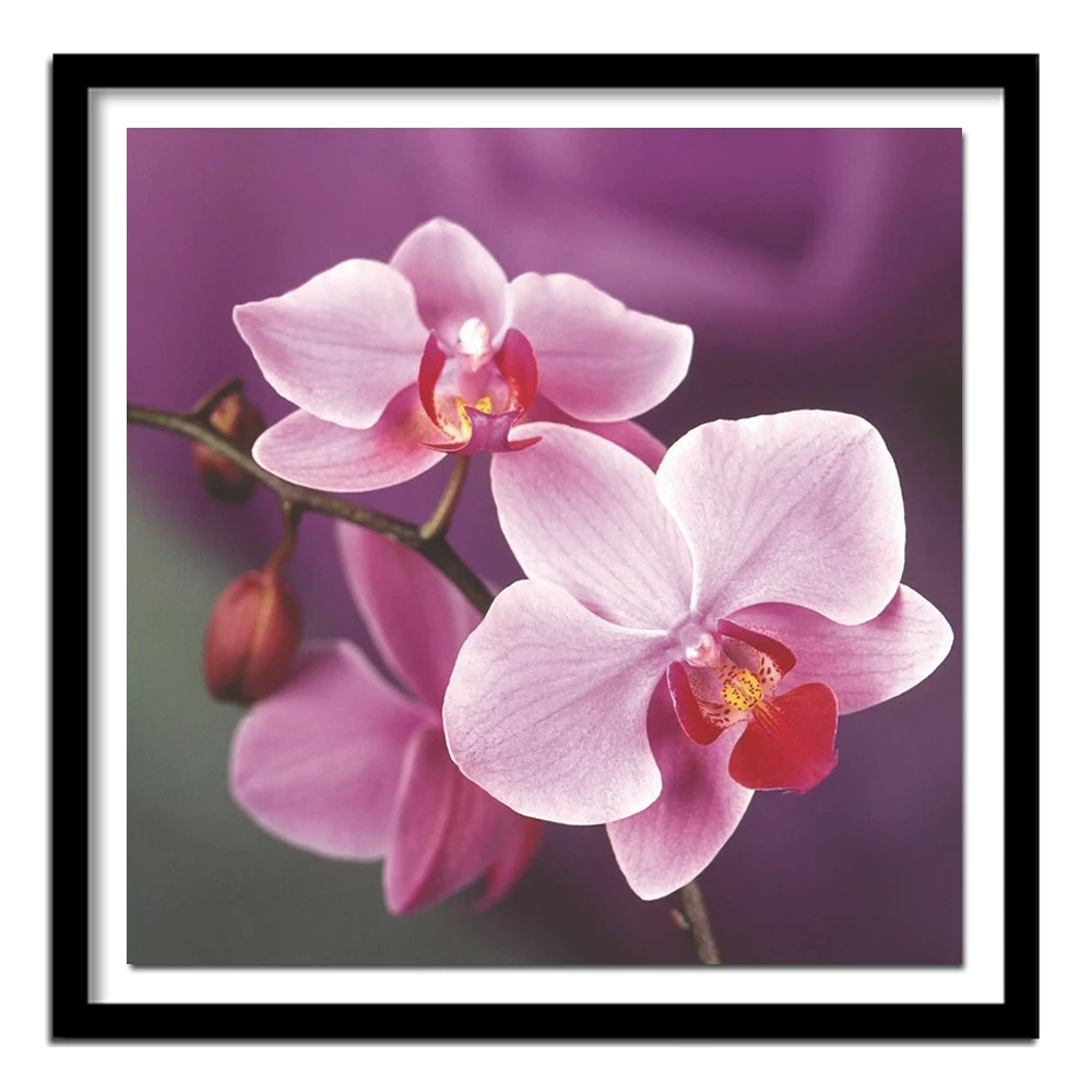 Рождественский DIY Алмазный рисунок &quotОрхидея&quot Алмазная вышивка крестиком