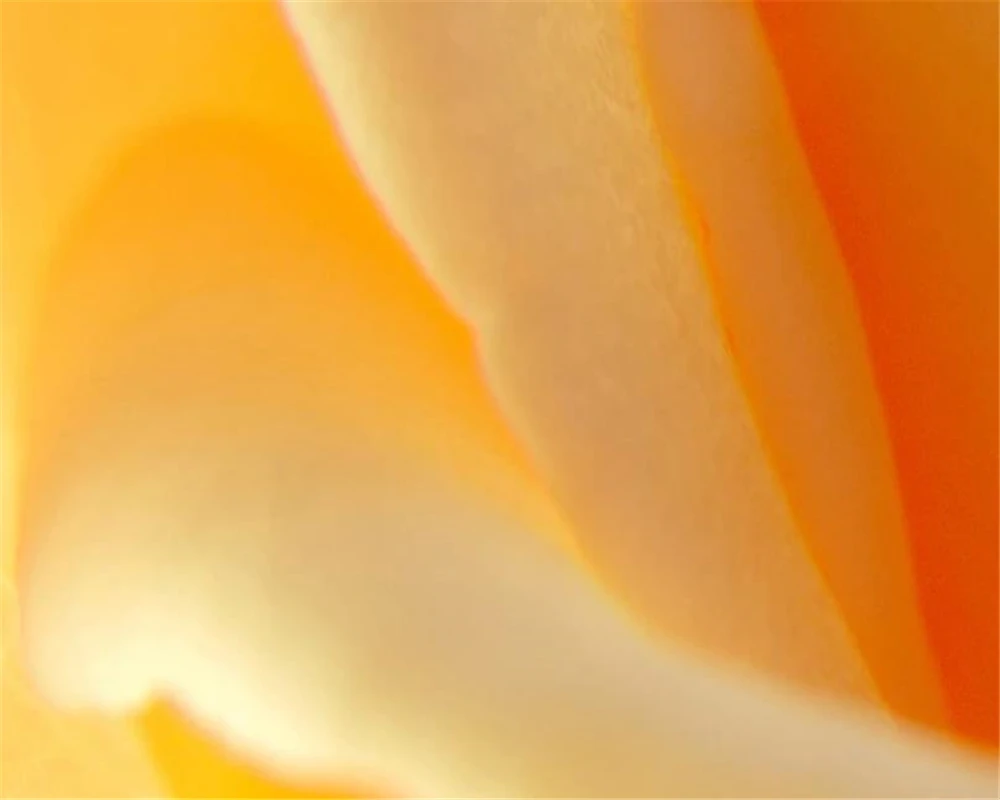 

Custom Wallpaper Light Pink Rose Bedside Mural Living Room Bedroom Background Wall Decoration Mural Wallpaper