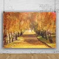 laeacco autumn nature scenic background for photography forest yellow fallen maple leaves garden way outdoor view photo backdrop