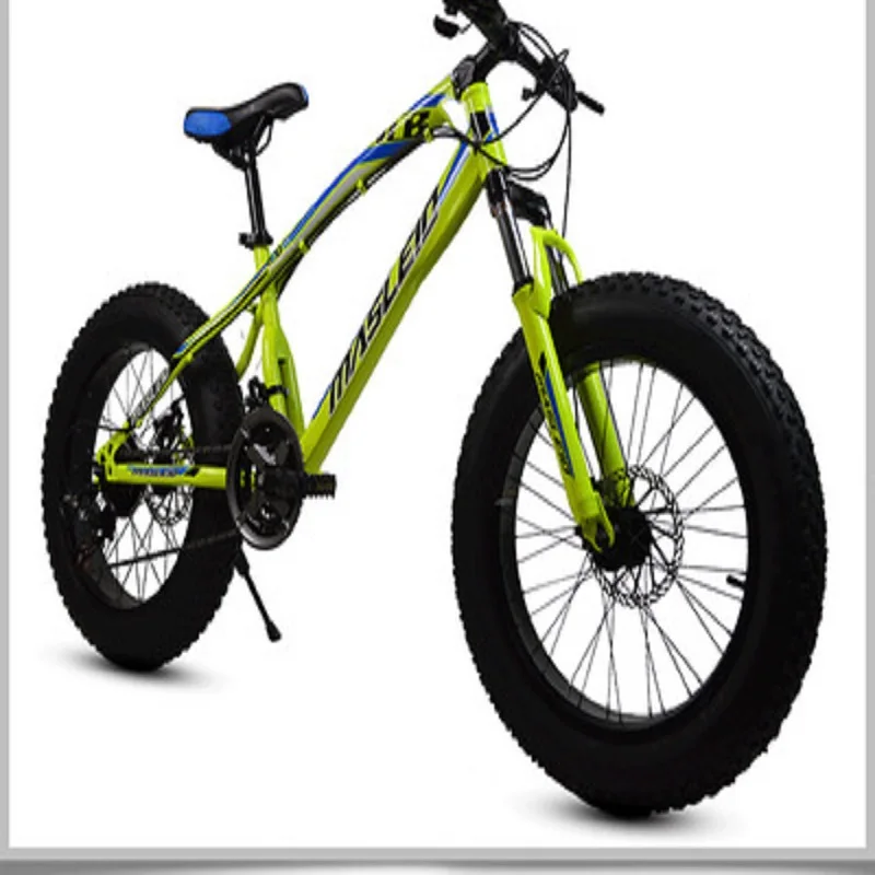 

Double disc brake variable speed Beach Bicycle/20 inch 21 speed 4.0 tyre high carbon steel frame snowfield bicycle