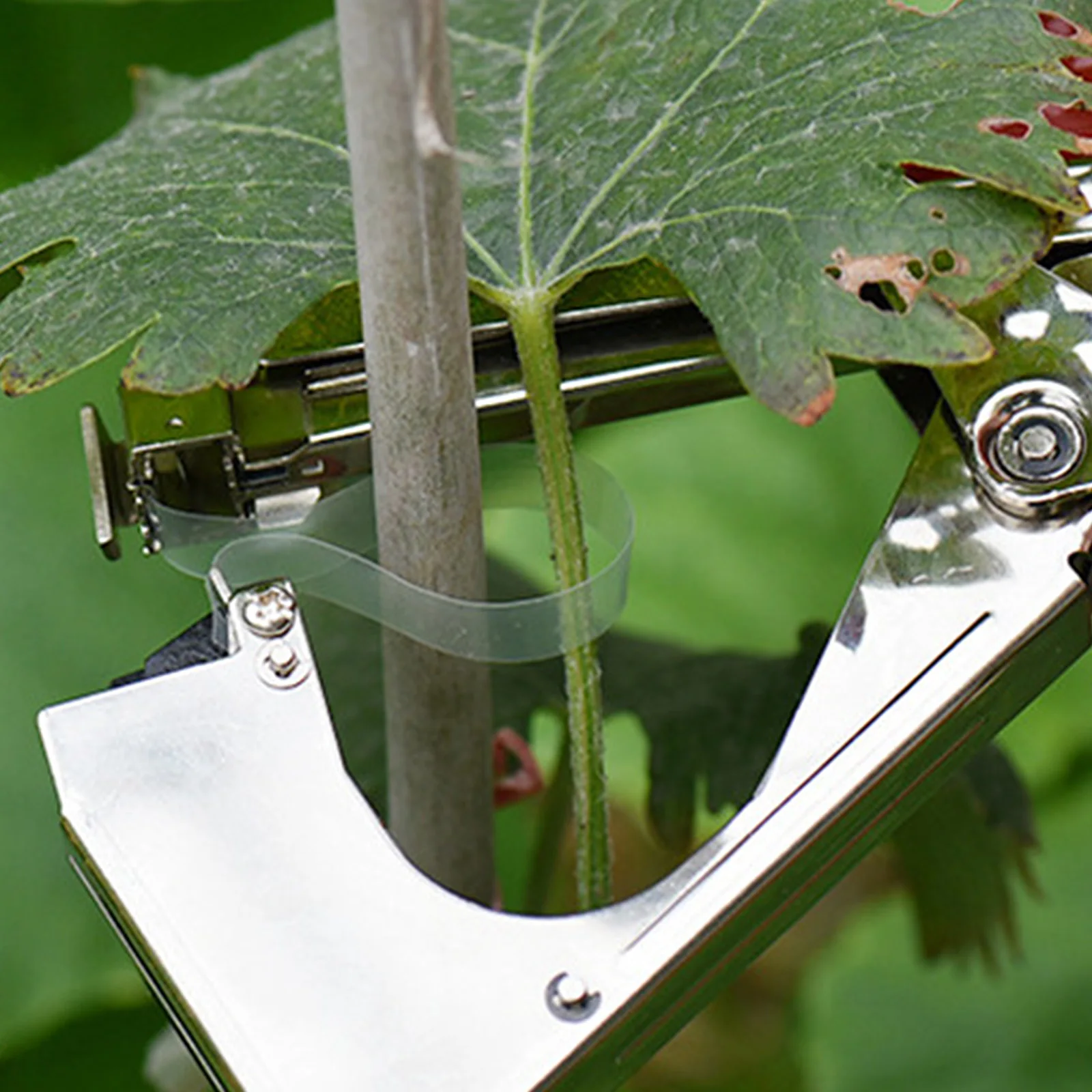 

Garden Tool Plant Tying Tapetool Tapener Machine Branch Hand Tying Machine Packing Vegetable Stem Strapping Pruning Tool Set