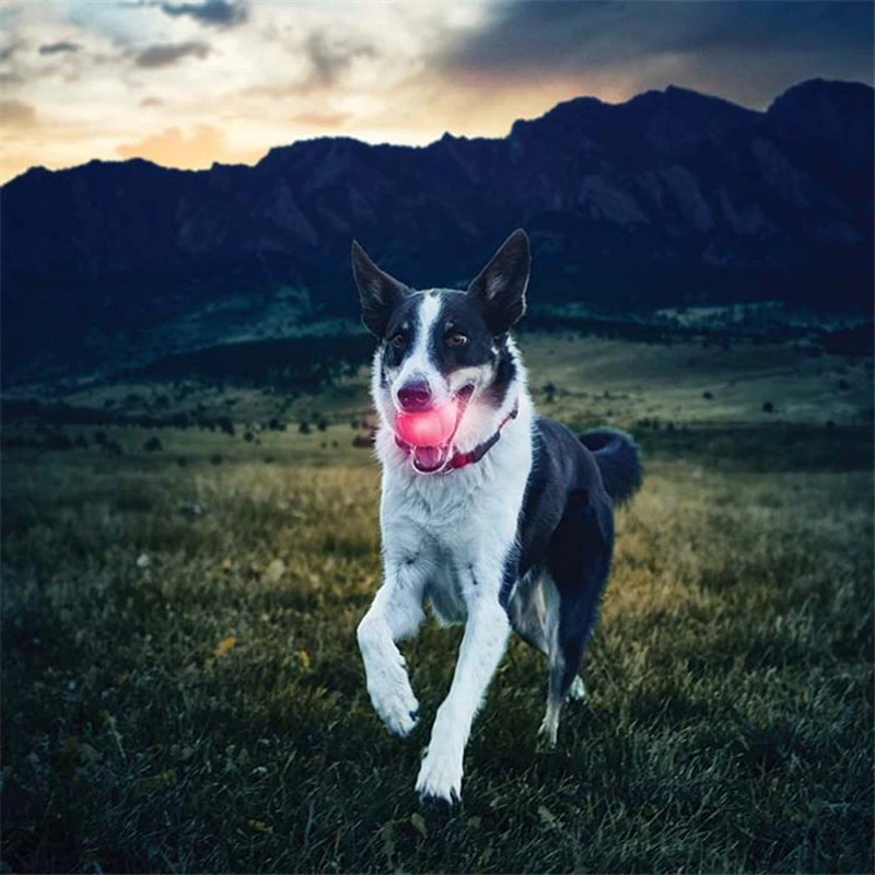 Изделия для обучения собак меняющие цвет Led TPR эластичный мяч игрушки устойчивые