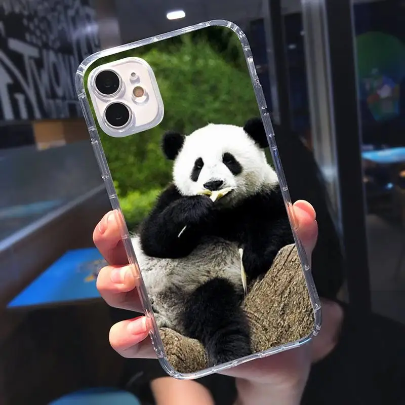 

Panda cute animal Phone Case Transparent for iPhone 6 7 8 11 12 s mini pro X XS XR MAX Plus
