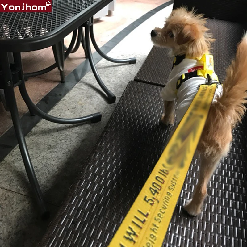 Собачий ошейник поводок модный воротник Перро и для собак кошек нейлоновый