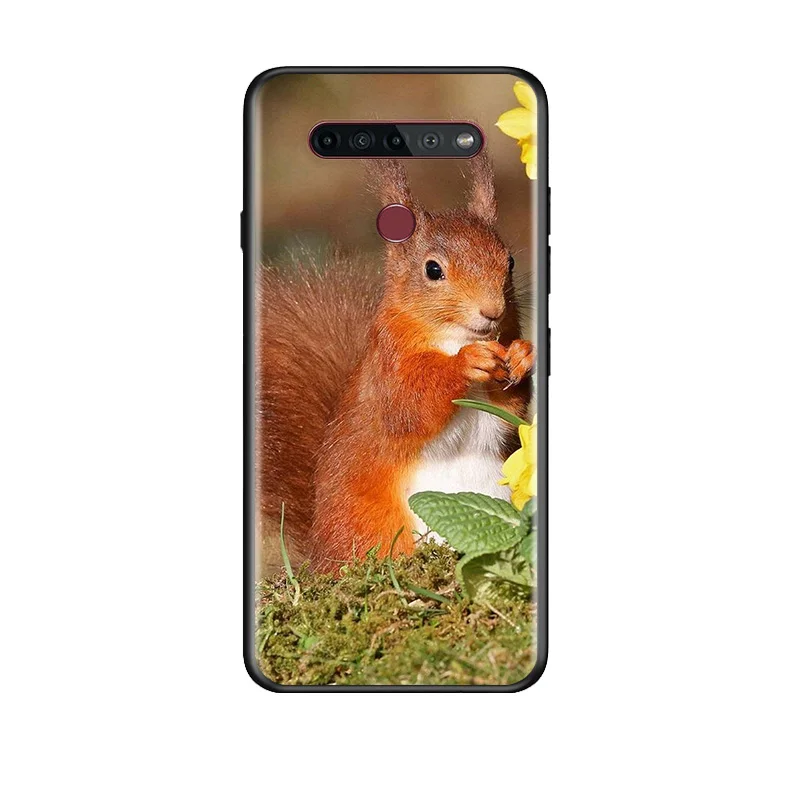

Cute Animal Squirrel For LG G8 V30 V35 V40 V50 V60 Q60 K40S K50S K41S K51S K61 K71 K22 ThinQ 5G Phone Case